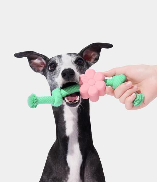 Playful Charm Knot Rope Toy