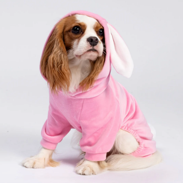 Halloween Pink Bunny Costume