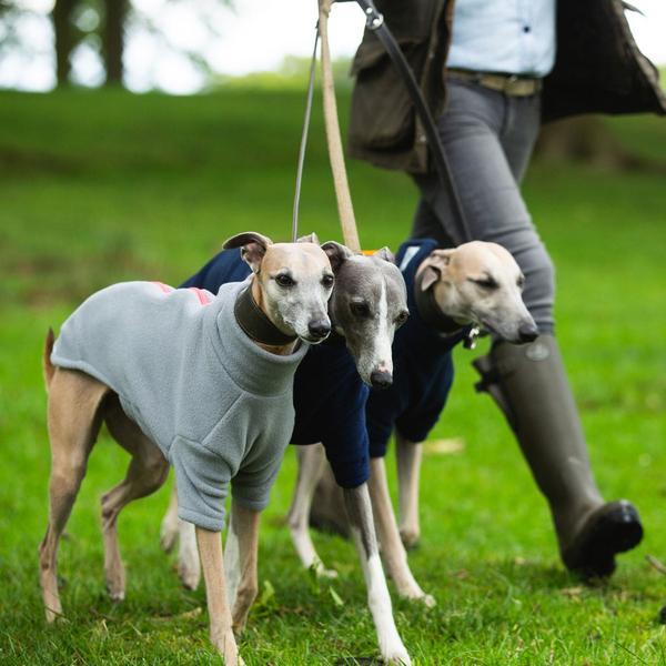Whippet Coat