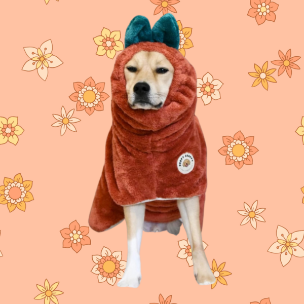 Premium Bathrobe