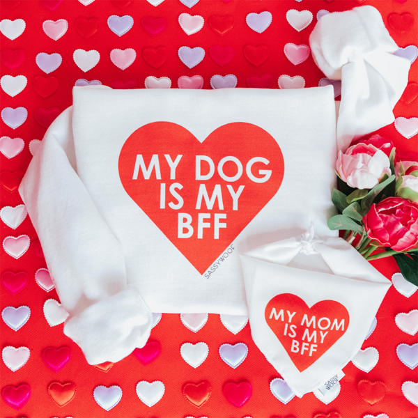 Valentine's Sweatshirt and Bandana Bundle