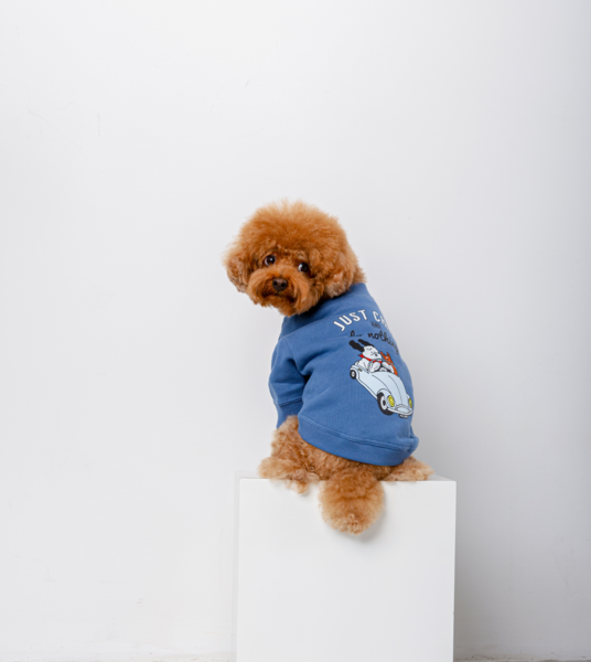 Liberty Tie-Up Collar