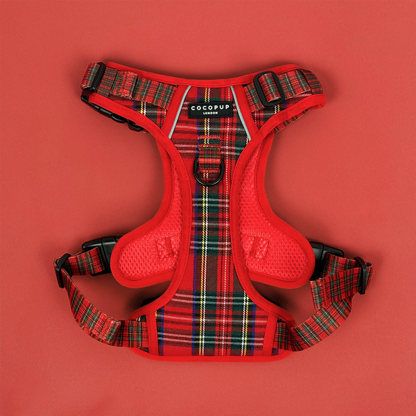 Explore Harness Tartan