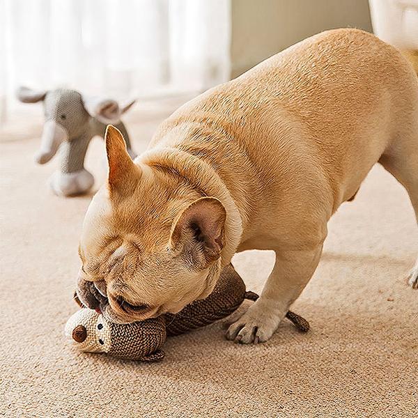 Squeaky Plush Toy