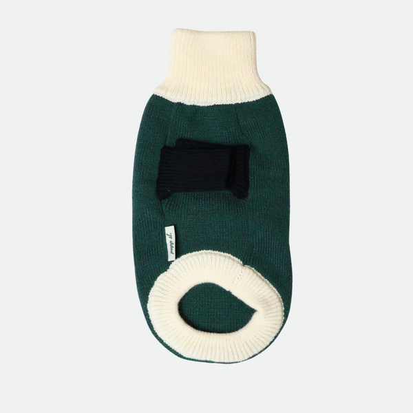 Colorblock Turtleneck Sweater