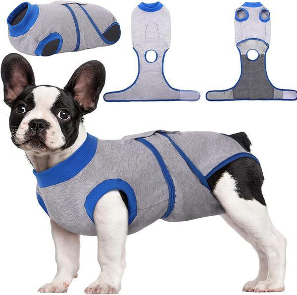 Recovery Suit Substitute E-Collar Cone