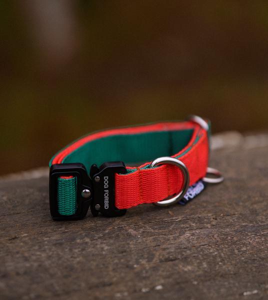 Buckle Collar Green And Orange