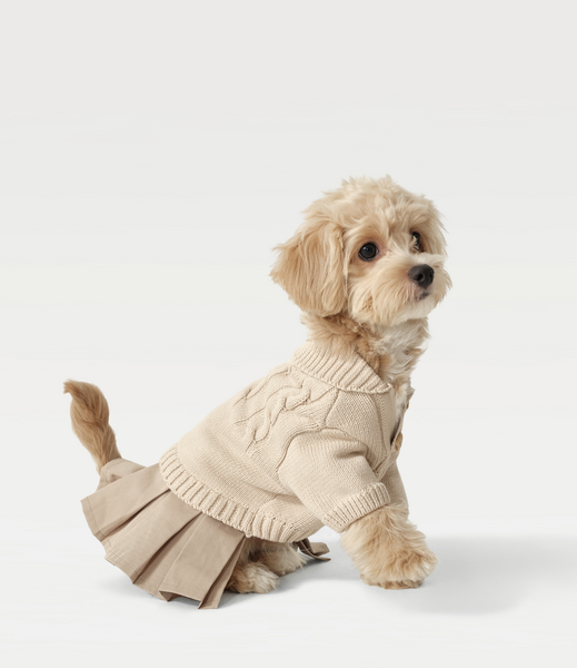 Knit Sweater Dress