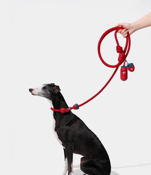 Connect Walk Kit Strawberry