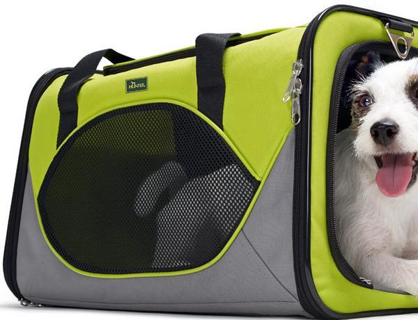 Dog Carrier for Travel and Vet Visits