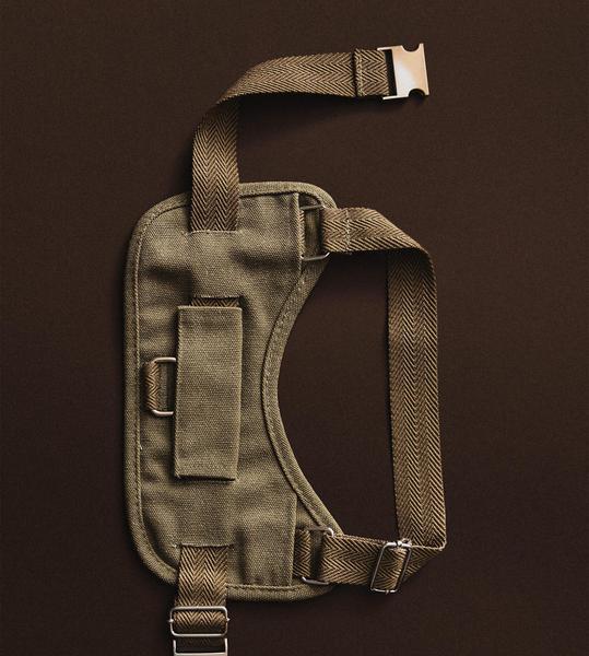 Walking Harness