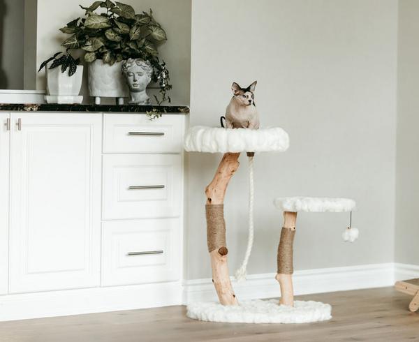 Modern Wood Cat Tree Tower
