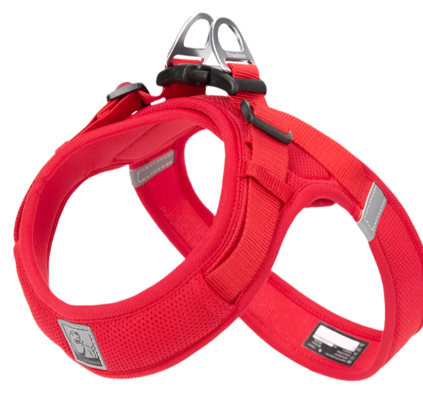 Mesh Harness
