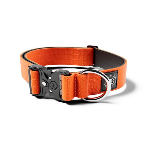 Combat Collar Rated Clip No Handle Orange