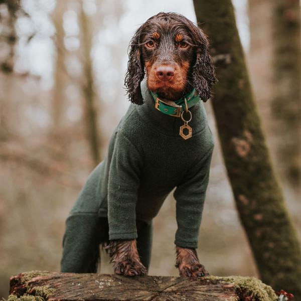 4 Leg Fleece Suit