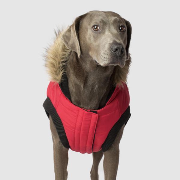 North Pole Parka with Hood
