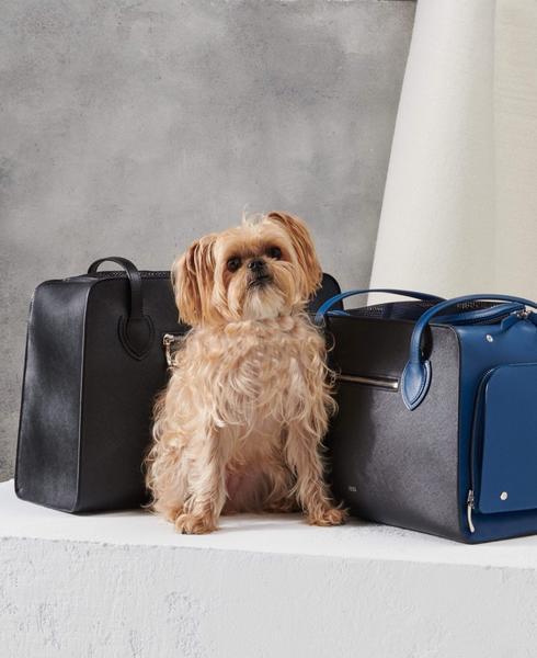 Black Shaya Pet Carrier