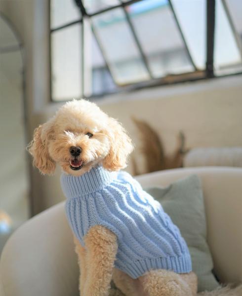 Knit Sweater