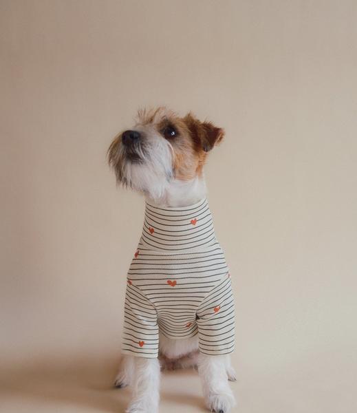 Chic Ribbed Long Sleeve Shirt