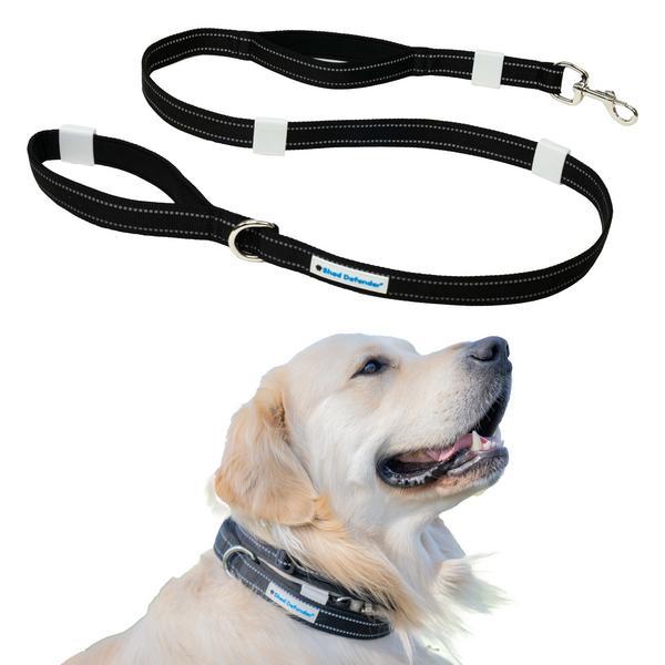 Mag Snap Leash