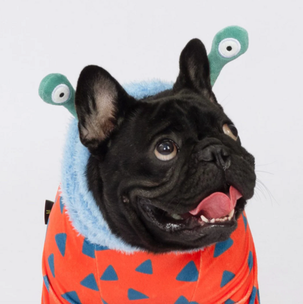 Halloween Monster Costume
