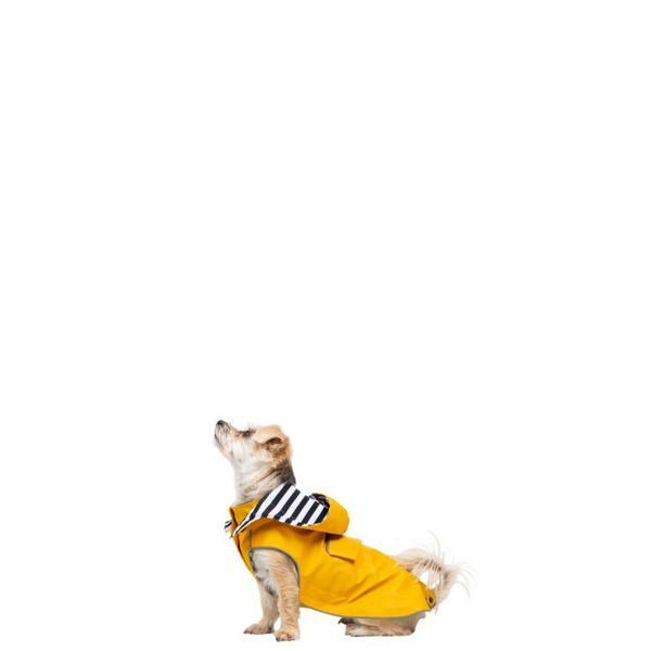 XXS Waterproof Raincoat With Hood