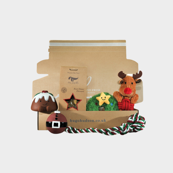 Christmas Festive Gift Box