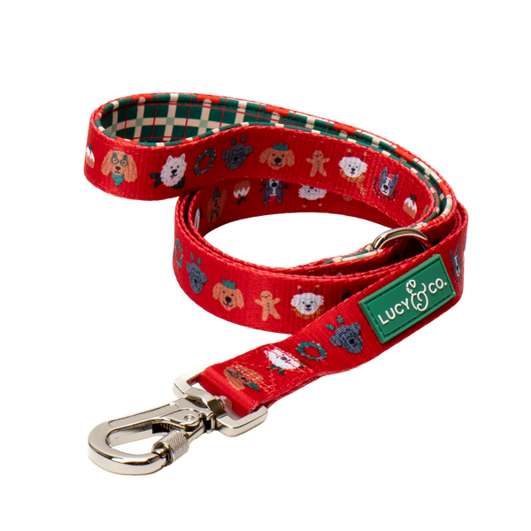 Holiday Festive Leash