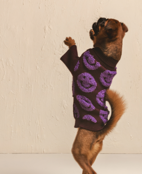 Smile Pet Sweater