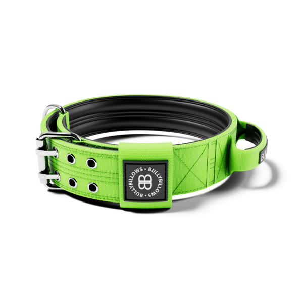 Sporting Collar With Handle Neon