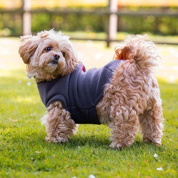 Four Legged Coat