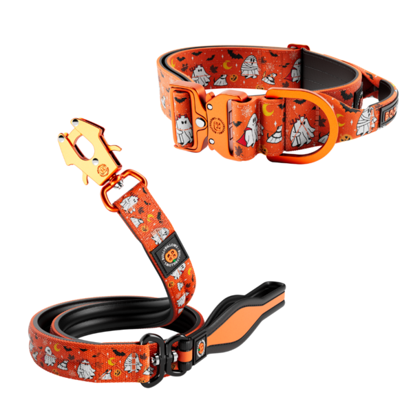 Combat Control Collar And Mini Lead Bundle