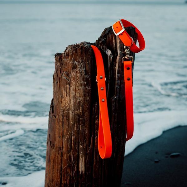 Classic Buckle Collar And Leash Package