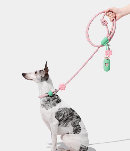 Connect Walk Kit