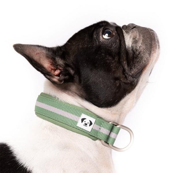 Strut Your Stuff Slip On Collar Elm Green