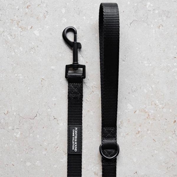 Color Strap Leash
