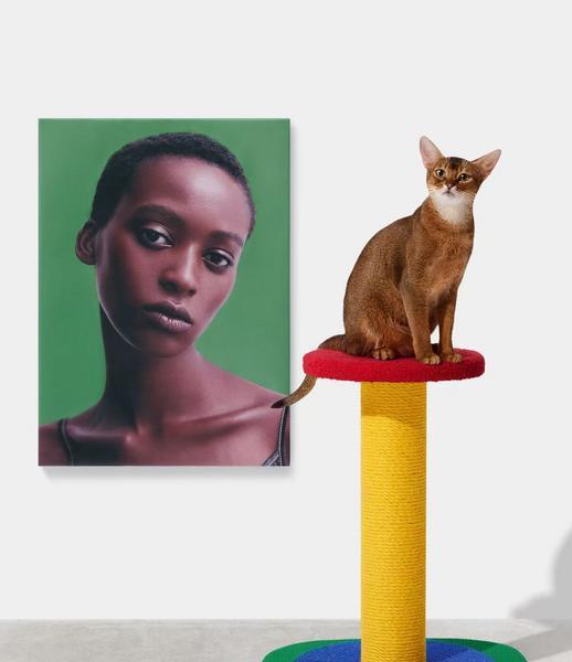 Chroma Simple Scratching Post