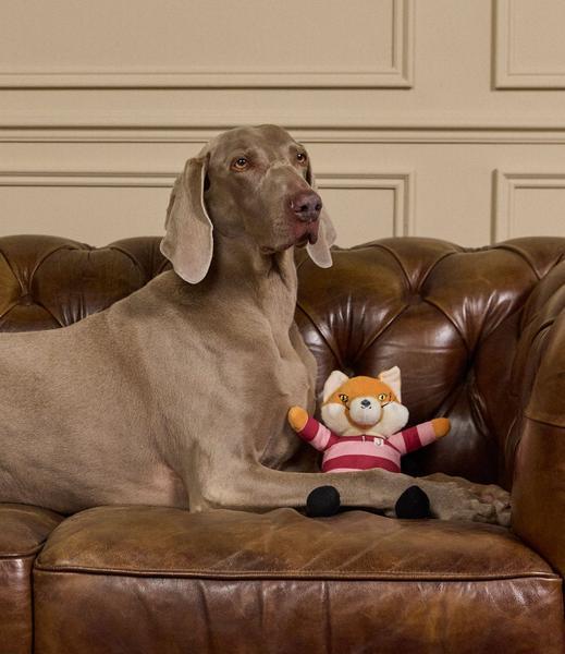 Rugby Jonty Fox Plush Rope Toy