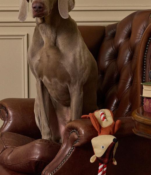 Red Fox Plush Rope Toy