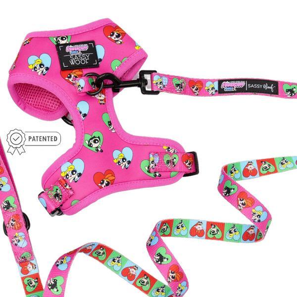 Two Piece Harness And Leash Set