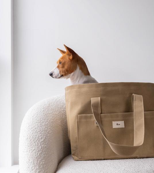 Pet Carrier Bag