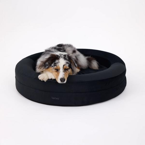 Signature Cover Curl Bed