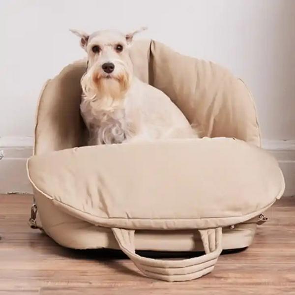 Car Seat And Carrier