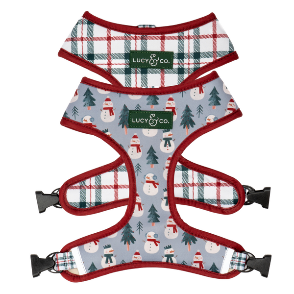 Reversible Snow Harness