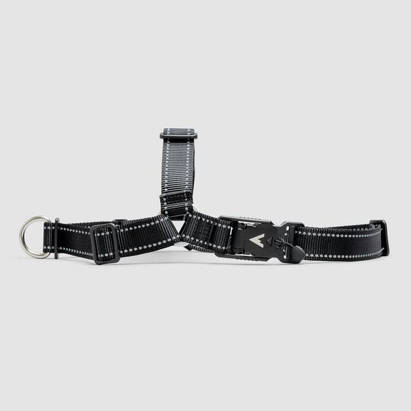 Lifetime No-Pull Harness
