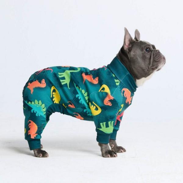 Pajama Dinosaurs