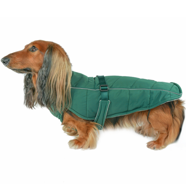 Whistler Winter Coat Lafayette Green