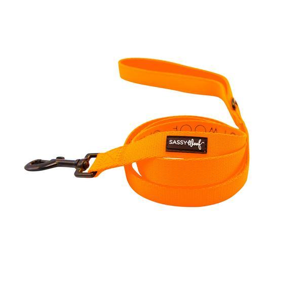 Neon Orange Leash