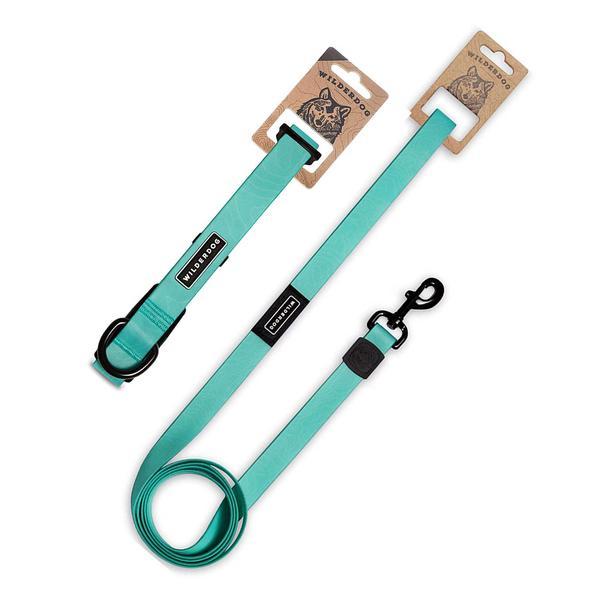 Seafoam Waterproof Leash and Collar Bundle