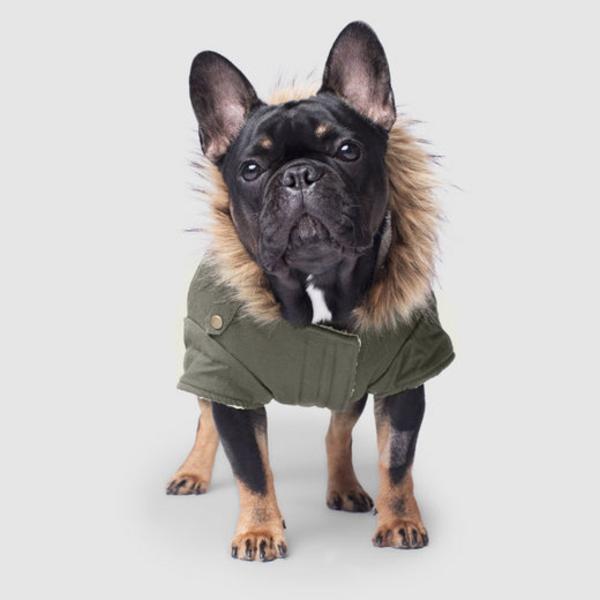 Winter Parka with Faux-Down Insulation and Sherpa Lining